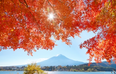 HÀNH TRÌNH VÀNG - NHẬT BẢN MÙA THU LÁ ĐỎ: TOKYO – NÚI PHÚ SĨ – NAGOYA – KYOTO - OSAKA (6N5Đ)